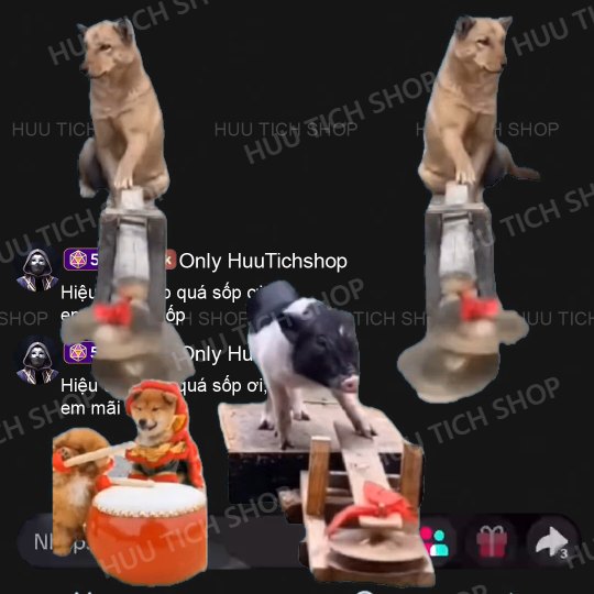 HTS - Pet Nhạc OBS
